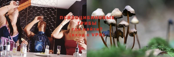 ECSTASY Абдулино