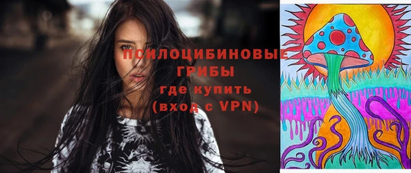 тгк Нефтекумск