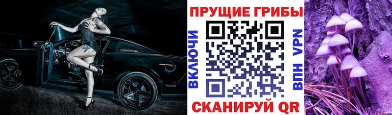 Галлюциногенные грибы Magic Shrooms  Ленинградская 