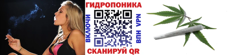 Шишки марихуана VHQ сколько стоит Ленинградская